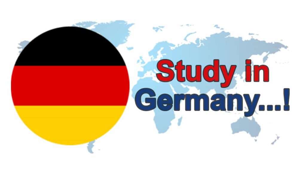 study abroad options