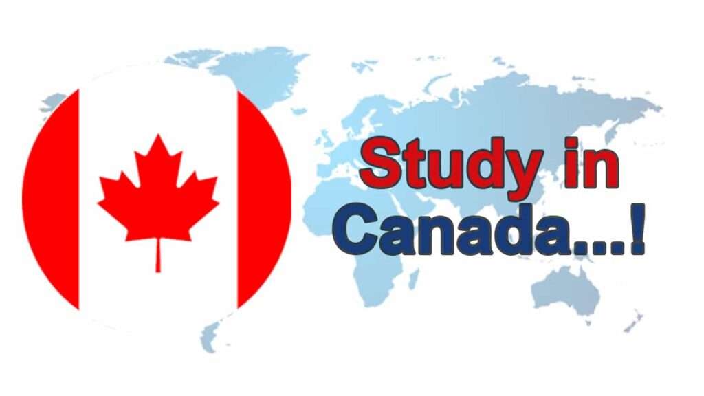 study abroad options