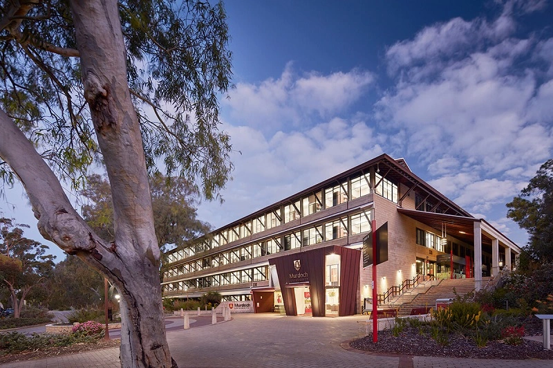 How to Apply for Murdoch University Intakes in Australia