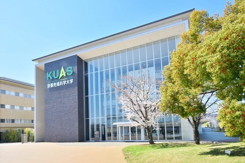 KUAS Undergraduate Scholarship Acceptance Rate & Selection Criteria